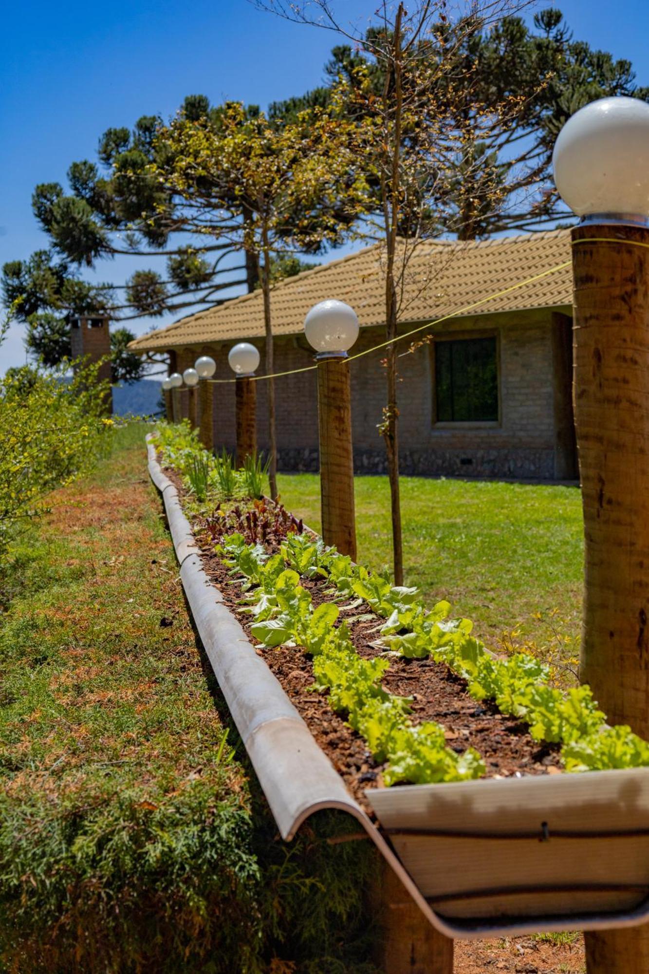 Casa Mundo Verde - Serra Da Mantiqueira Camanducaia Exteriér fotografie